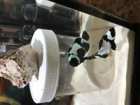 IMG_1057.jpg