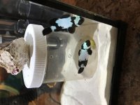 IMG_1061.jpg