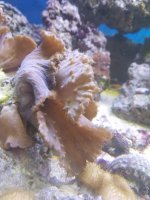 20161011_140350.jpg