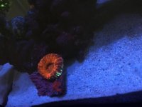 IMG_1038.jpg