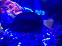 IMG_0185.jpg