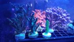 20160304_181440.jpg