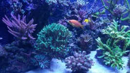20160304_184725.jpg