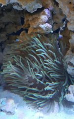 20160506_114326.jpg