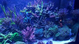 20160304_184637.jpg