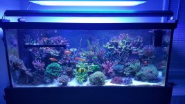 20160304_184621.jpg