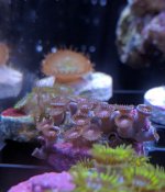 IMG_20161114_190214.jpg