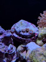 IMG_20161114_190259.jpg