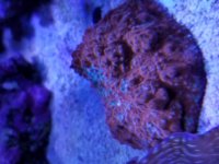 20170322_124830.jpg