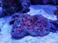 20170322_124807.jpg