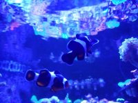 20161114_172118.jpg