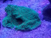 20170322_153615.jpg