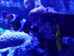 20161114_172053.jpg