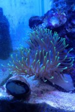 636C1ED1-E6C9-41FD-9933-F051BDD4CED0.jpg