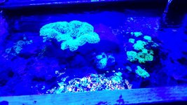 20160729_193353.jpg