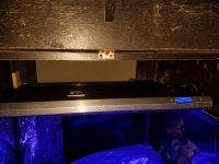 20170322_180037.jpg