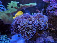 IMG_20170126_144054.jpg