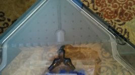 IMG_1079.JPG