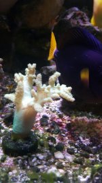 20160731_121003592.jpg