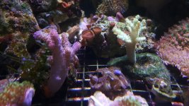 20160731_121336220.jpg