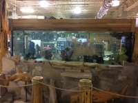 IMG_4707.jpg