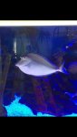 IMG_2156.jpg