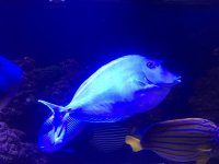 IMG_2138.jpg