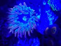 20170322_212021.jpg
