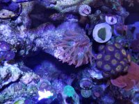 20170322_165943.jpg
