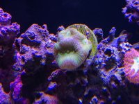 IMG_0046.JPG