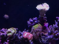 IMG_0056.JPG