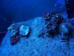 IMG_0594.jpg