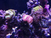 IMG_0055.JPG