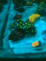 IMG_6045.jpg