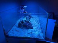 IMG_0595.jpg