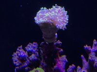 IMG_0051.JPG