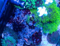 _MG_2909.jpg