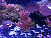 IMG_5267.jpg