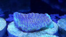 20170323_165307.jpg