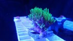20160305_211725.jpg