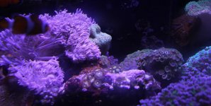 IMG_8357.jpg