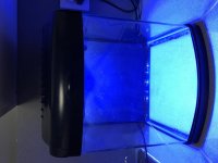 IMG_0711.jpg