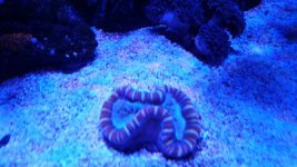20160305_211712.jpg