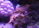 IMG_8349.jpg