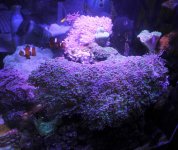 IMG_8340.jpg