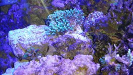20161115_193134.jpg