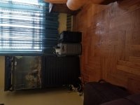 20170604_114411.jpg