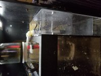 20170604_130323.jpg