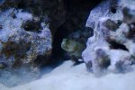 20160304-_LEX3899.jpg
