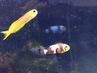 IMG_5700.jpg